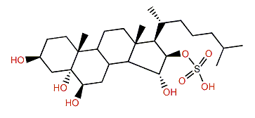5a-Cholestane-3b,5,6b,15a,16b-pentol 16-sulfate